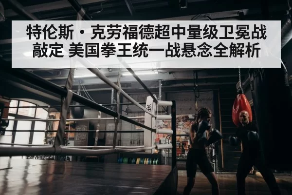 boxer training gym